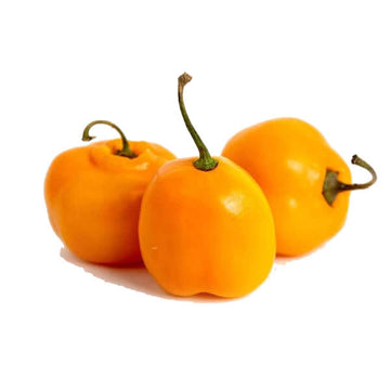 Pepper Seeds – Manzano  