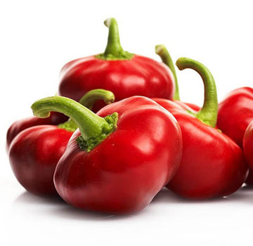 Pepper Seeds – Nora 