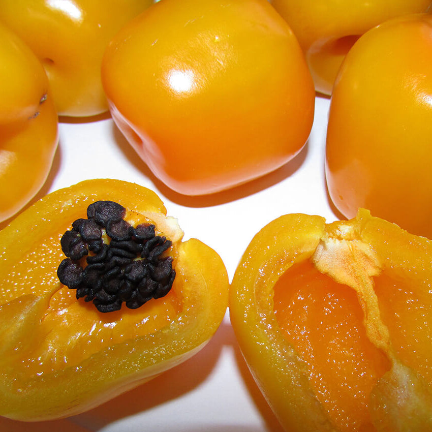 Pepper Seeds – Manzano  