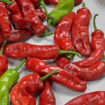 Pepper Seeds – Melrose