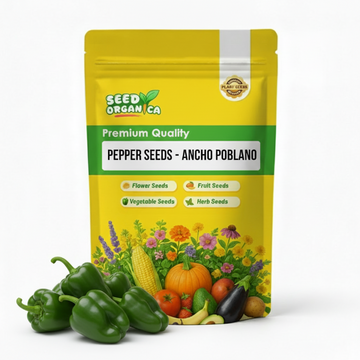 Pepper Seeds - Ancho Poblano