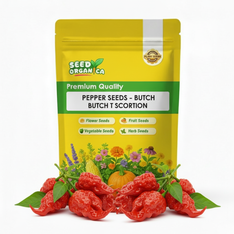 Pepper Seeds - Butch T Scorpion