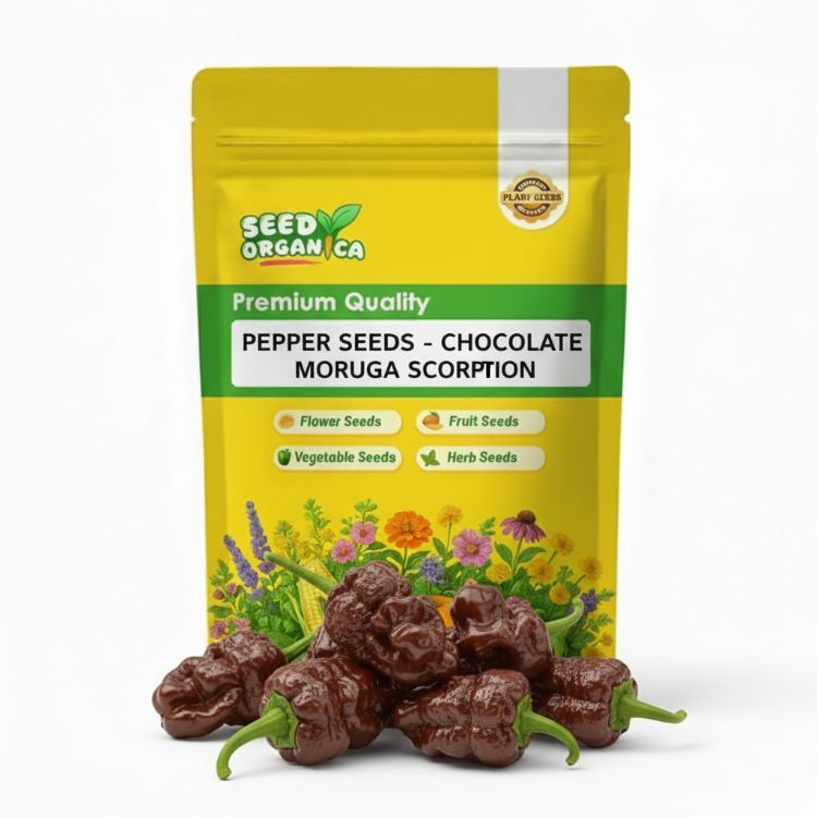Pepper Seeds - Chocolate Moruga Scorpion