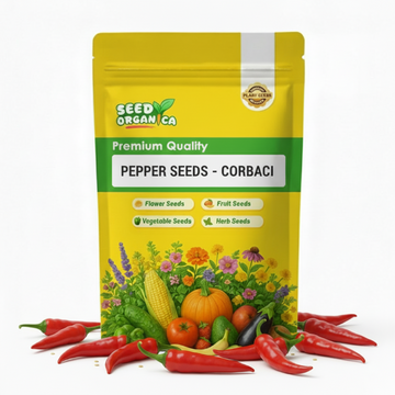 Pepper Seeds - Corbaci