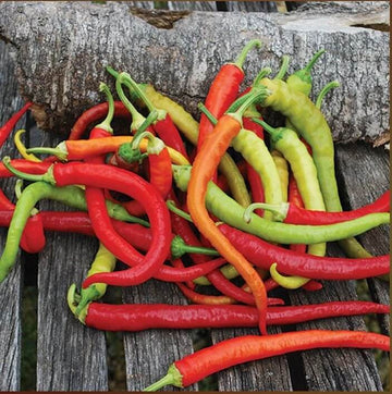 Pepper Seeds - Corbaci  