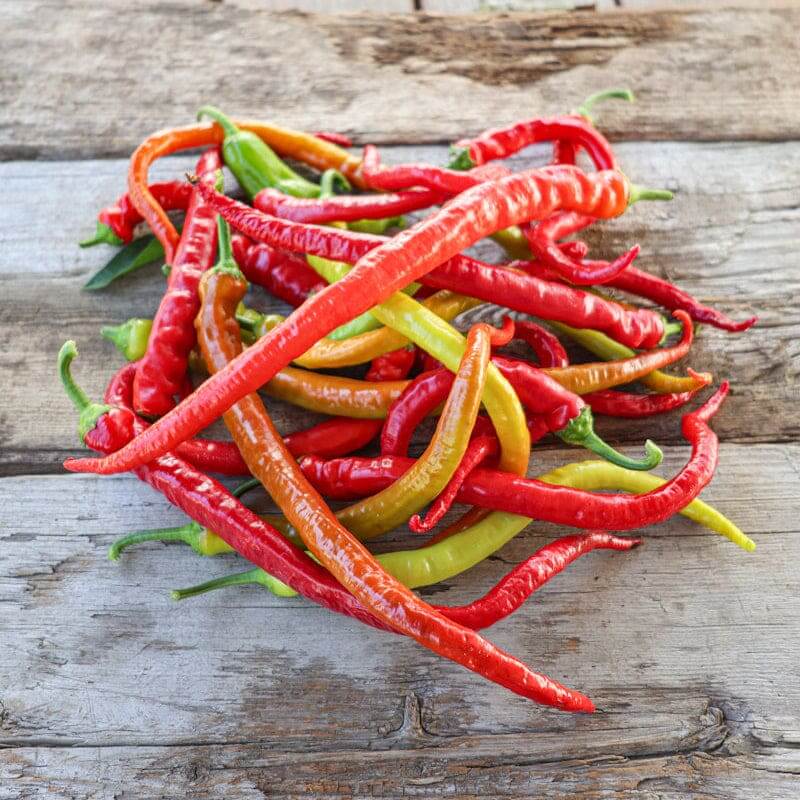 Pepper Seeds - Corbaci  