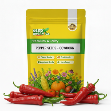 Pepper Seeds - Cowhorn
