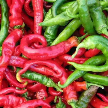 Pepper Seeds - Cowhorn