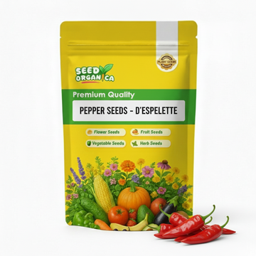 Pepper Seeds - D'Espelette