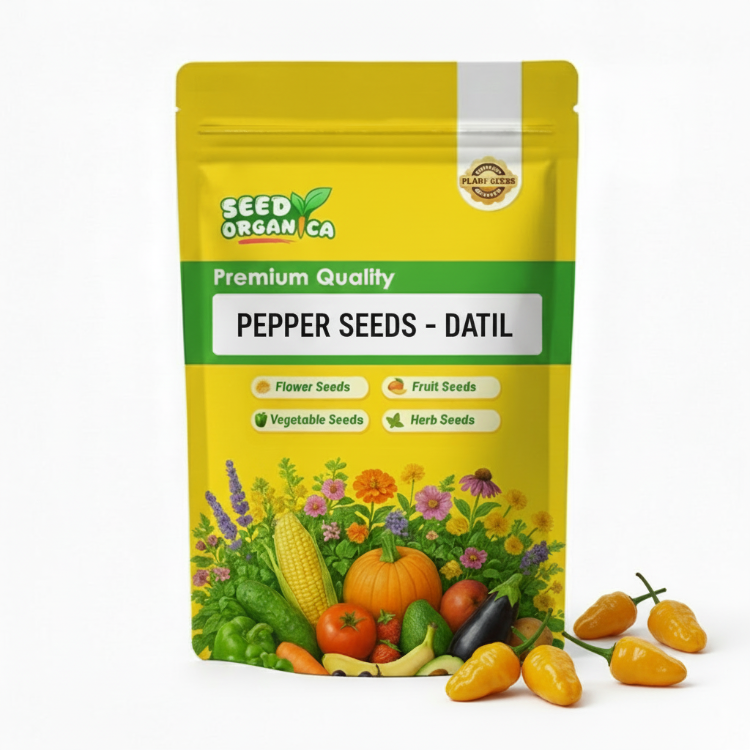 Datil Pepper Seeds | Datil Chilli Pepper Seeds for Planting