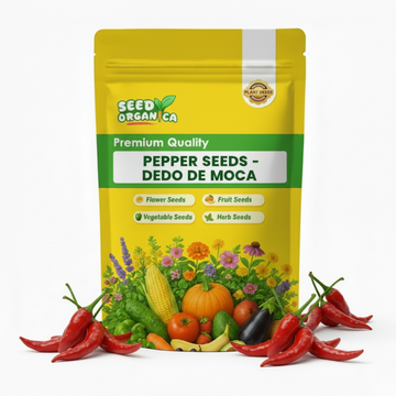 Pepper Seeds - Dedo de Moca