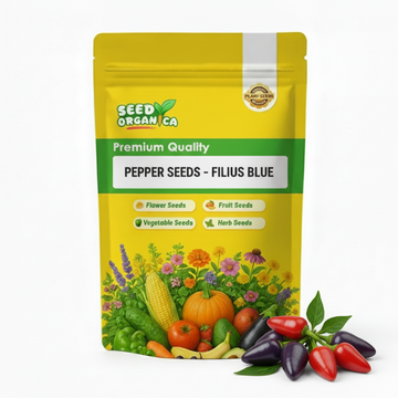 Pepper Seeds - Filius Blue