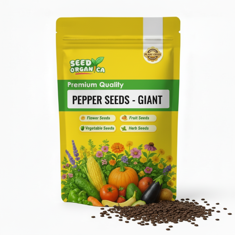 Pepper Seeds - Giant