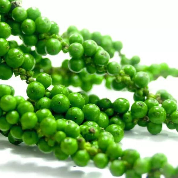 Pepper Seeds - Green