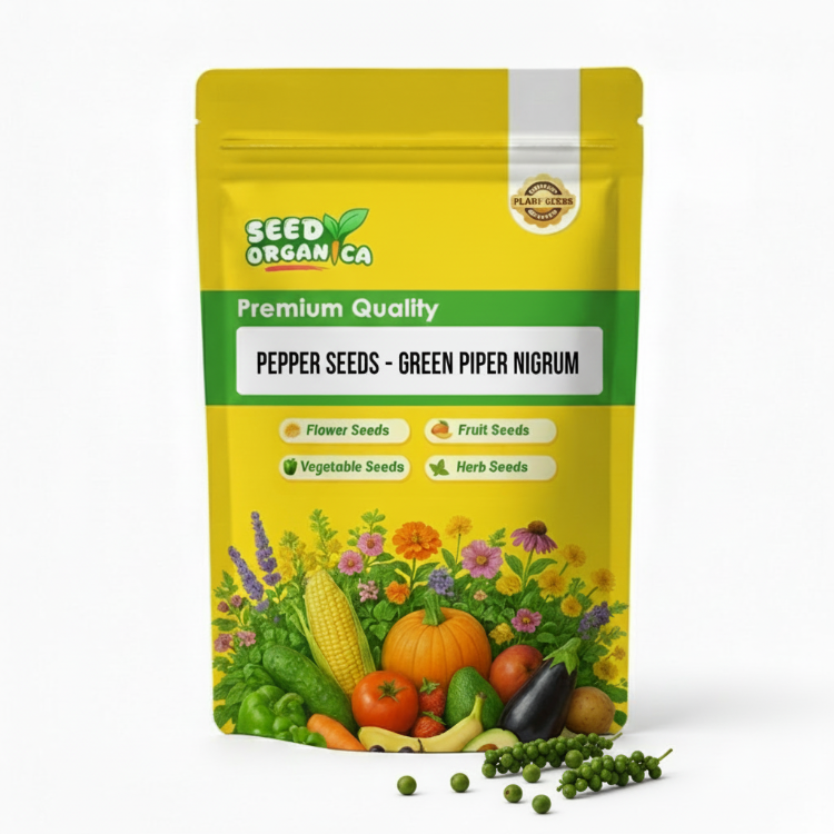 Pepper Seeds - Green Piper Nigrum