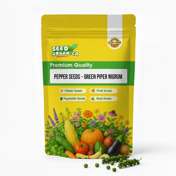 Pepper Seeds - Green Piper Nigrum
