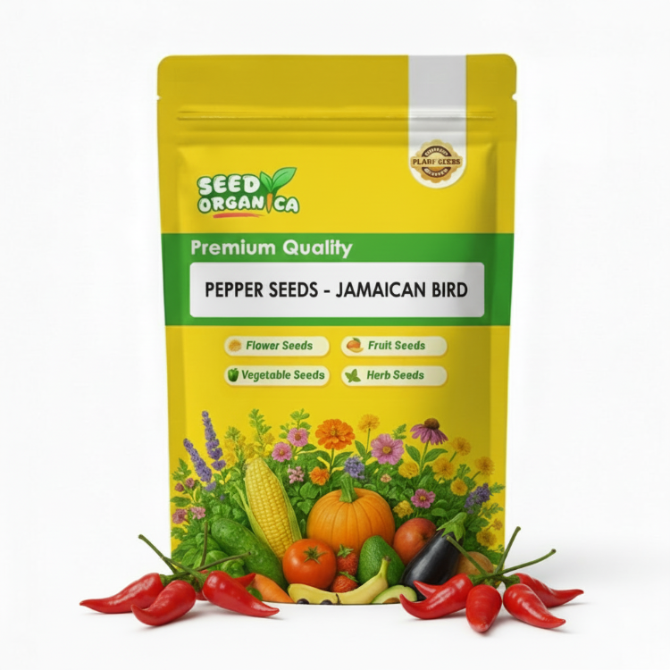 Pepper Seeds - Jamaican Bird