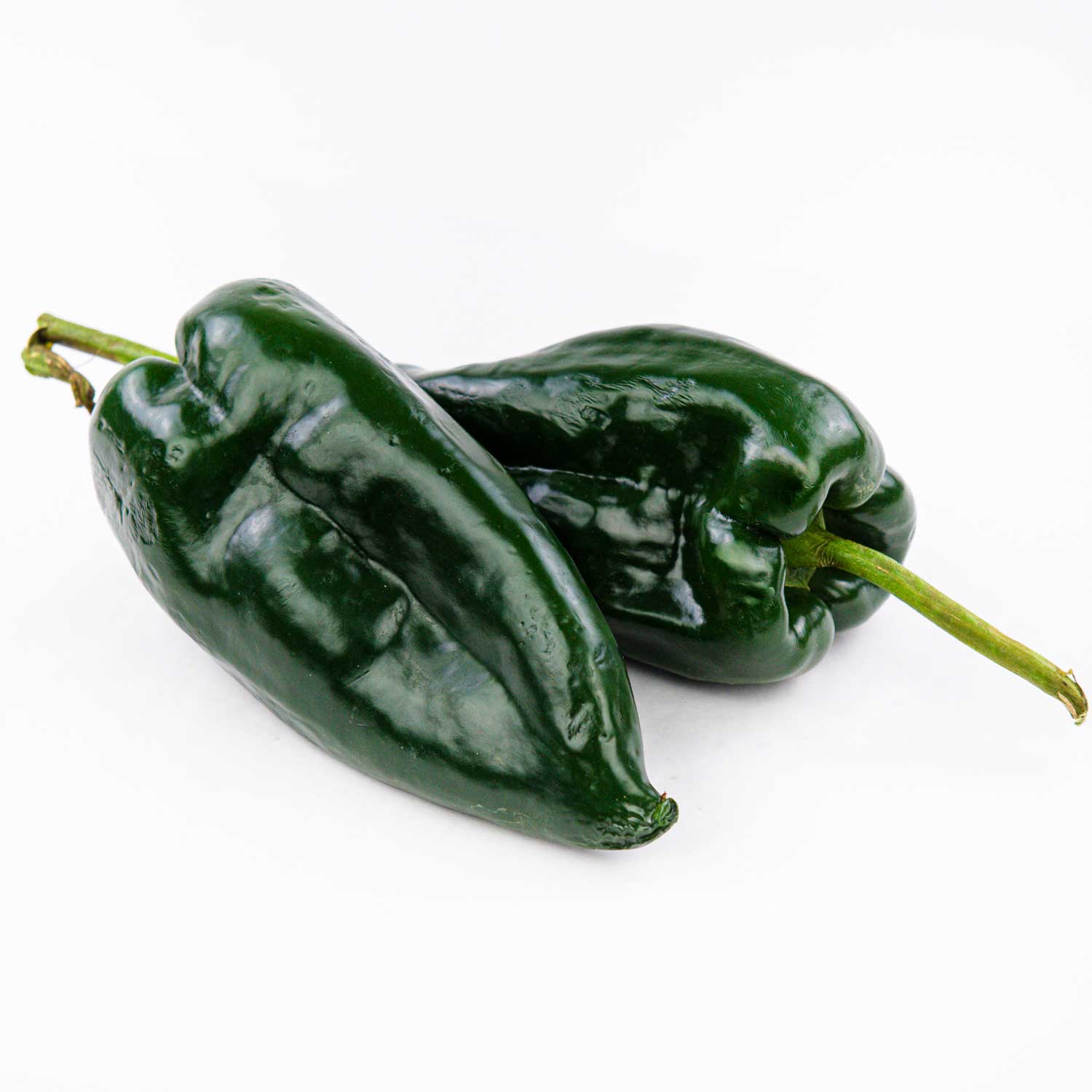 Pepper Seeds - Poblano
