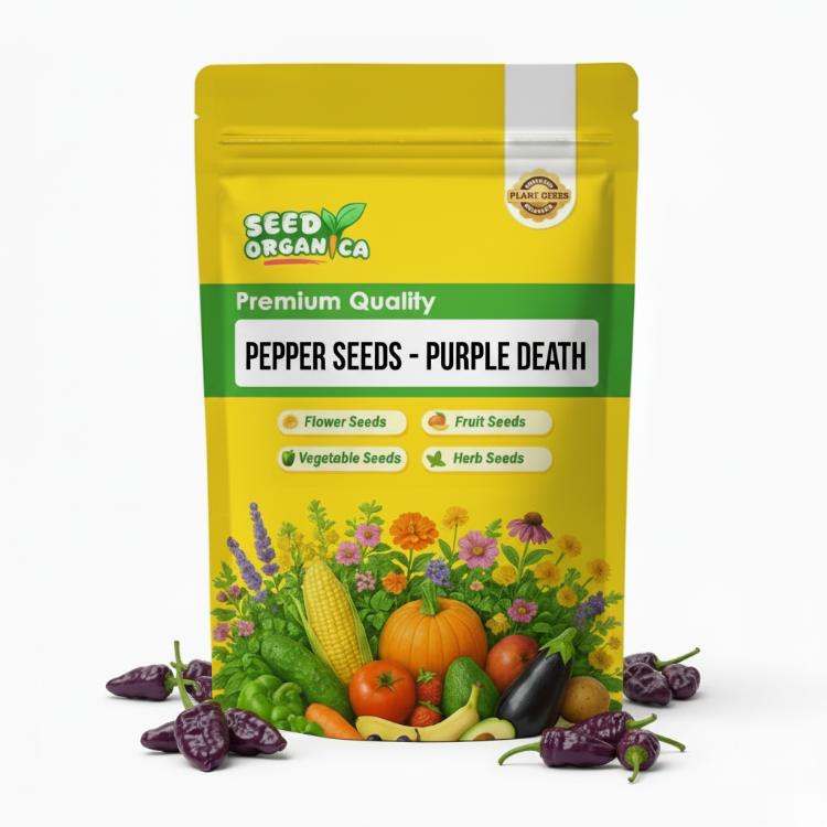 Pepper Seeds - Purple Death