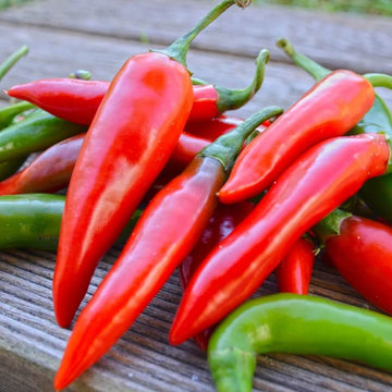 Pepper Seeds - Sweet Bulgarian