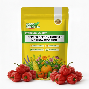 Pepper Seeds - Trinidad Moruga Scorpion