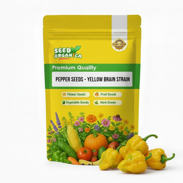Pepper Seeds - Yellow Brain Strain