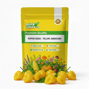 Pepper Seeds -  Yellow Jamaicano
