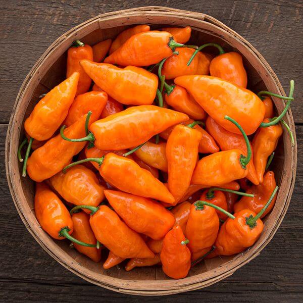 Pepper Seeds – Habanada