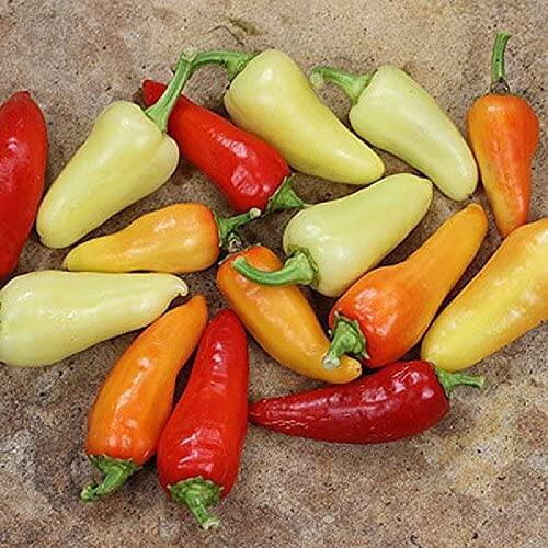 Pepper Seeds – Santa Fe Grande 
