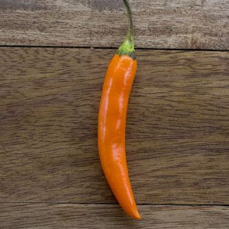 Pepper Seeds - Orange
