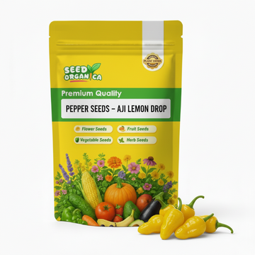 Pepper Seeds – Aji Lemon Drop