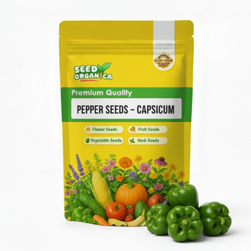 Pepper Seeds – Capsicum