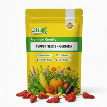 Pepper Seeds – Gernika