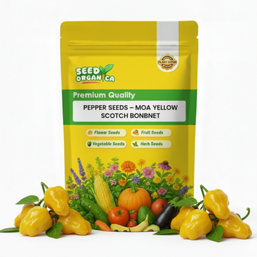 Pepper Seeds – MOA Yellow Scotch Bonnet