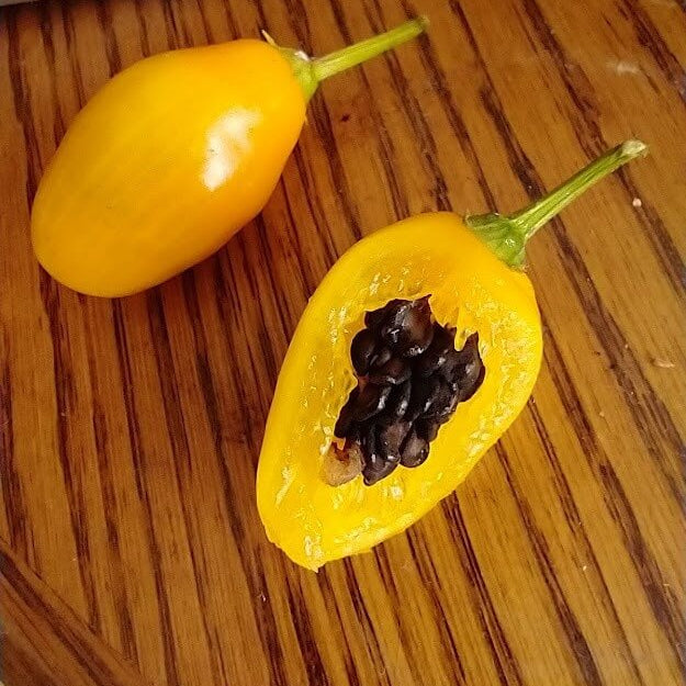 Pepper Seeds – Manzano  