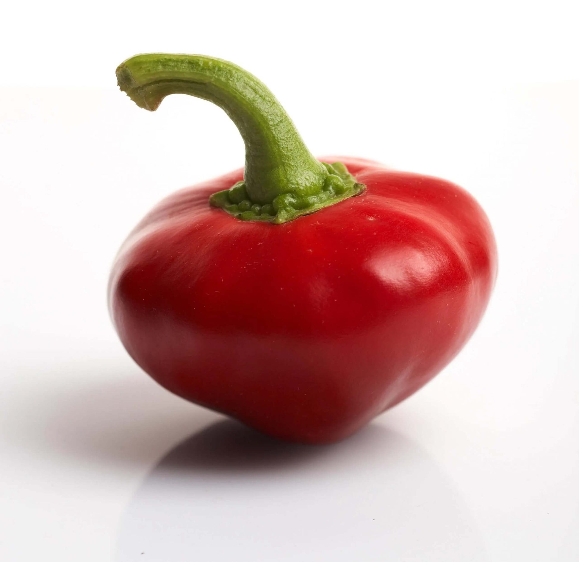 Pepper Seeds – Nora 