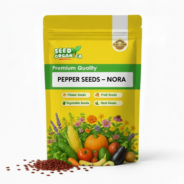 Pepper Seeds – Nora