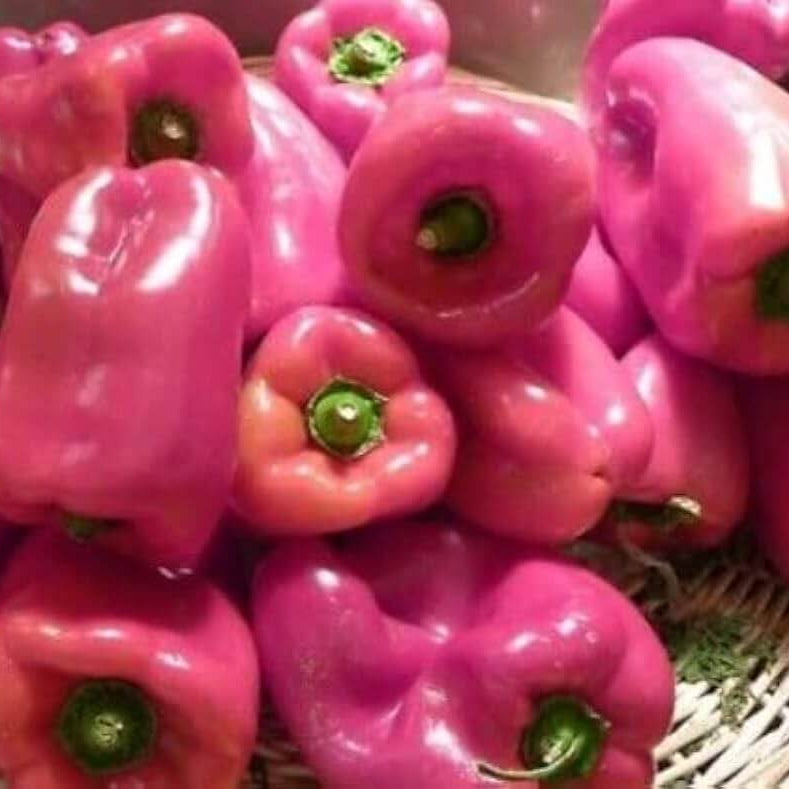  Pepper Seeds – Pink