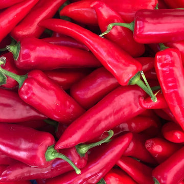 Pepper Seeds – Red Wax 