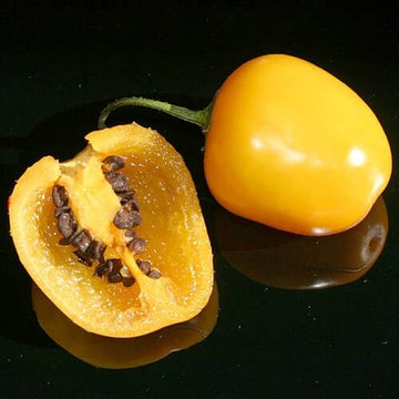 Pepper Seeds – Rocoto Yellow 