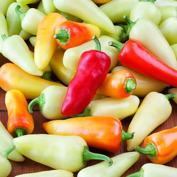 Pepper Seeds – Santa Fe Grande 