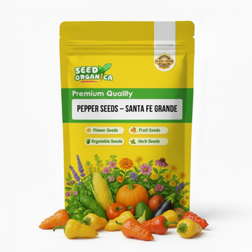 Pepper Seeds – Santa Fe Grande