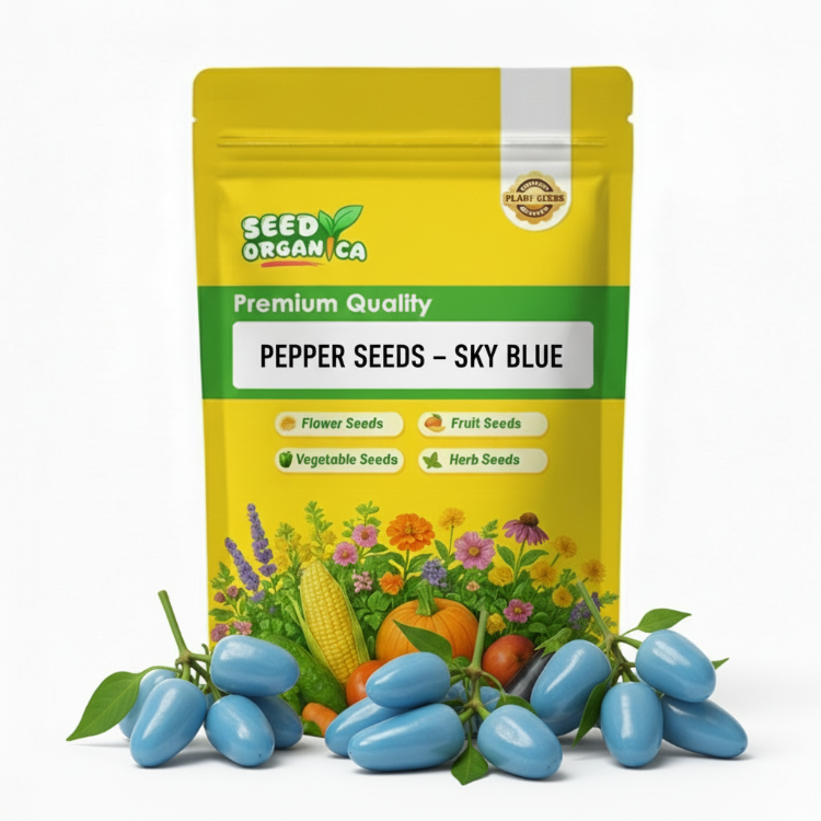 Pepper Seeds – Sky Blue