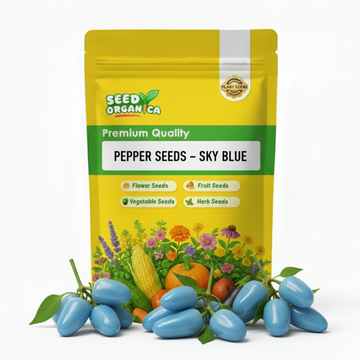 Pepper Seeds – Sky Blue