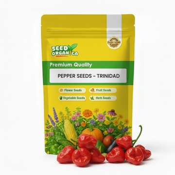 Pepper Seeds – Trinidad