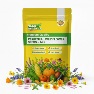 Perennial Wildflower Seeds – Mix