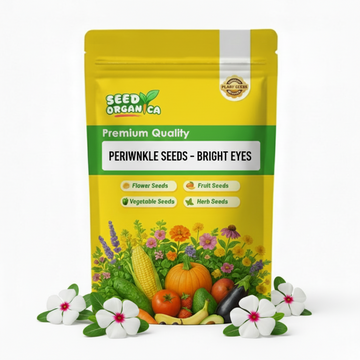 Periwinkle Seeds – Bright Eyes