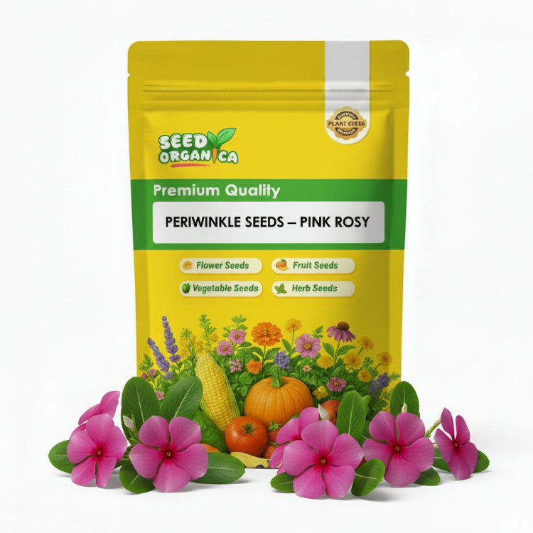 Periwinkle Seeds – Pink Rosy