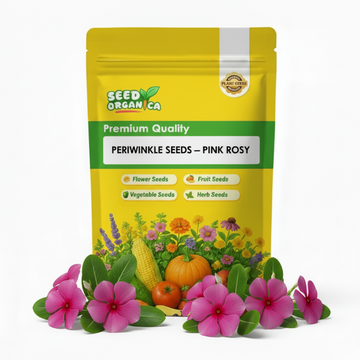 Periwinkle Seeds – Pink Rosy