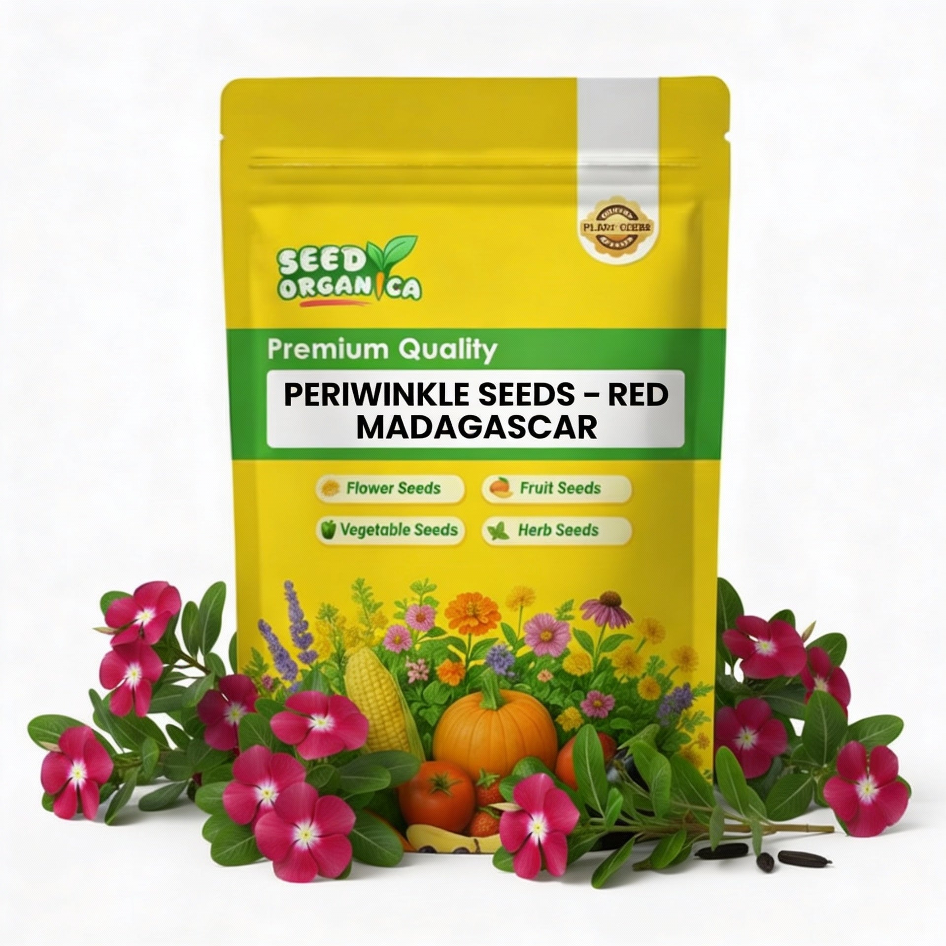 Periwinkle Seeds – Red Madagascar